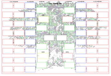 Blank Genealogy Tree Chart